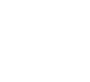 agencia nacional de investigación y desarrollo